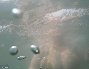 lily3/videos/277 - Golden bikini swim